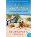 Lost and Found Sisters - Paperback
