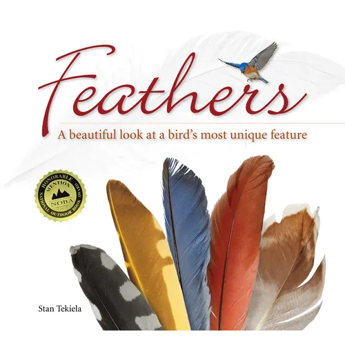 Feathers: A Beautiful Look at a Bird's Most Unique Feature - Paperback