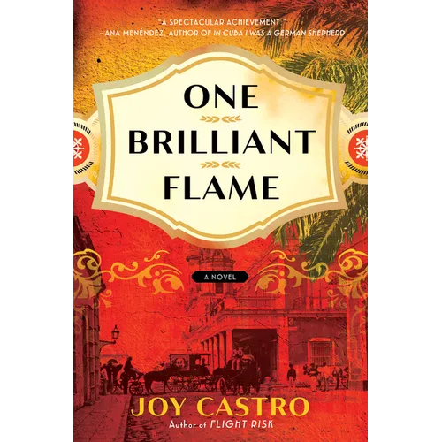 One Brilliant Flame - Paperback