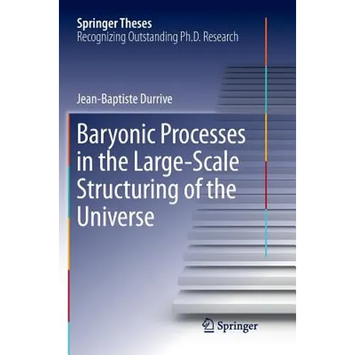 Baryonic Processes in the Large-Scale Structuring of the Universe - Paperback