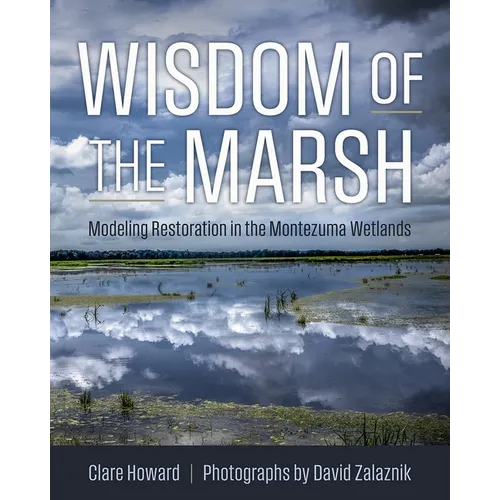 Wisdom of the Marsh: Modeling Restoration in the Montezuma Wetlands