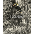 A Walk Through the Rain Forest - Hardcover