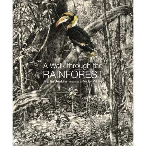 A Walk Through the Rain Forest - Hardcover