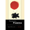 Promises, Promises: Essays on Literature and Psychoanalysis - Paperback