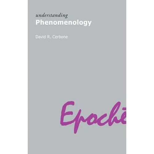Understanding Phenomenology - Paperback