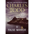 A False Mirror - Paperback