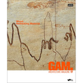 Gam. 17: Wood. Rethinking Material - Paperback
