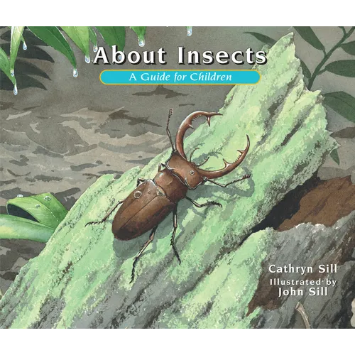 About Insects: A Guide for Children (Educational Science Book about Bugs for Stem Learning) - Paperback