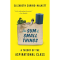 The Sum of Small Things: A Theory of the Aspirational Class - Paperback