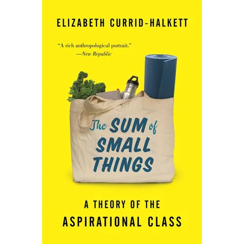 The Sum of Small Things: A Theory of the Aspirational Class - Paperback