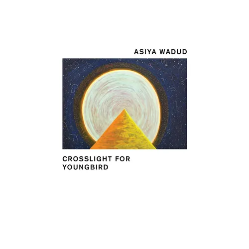 Crosslight for Young Bird - Paperback