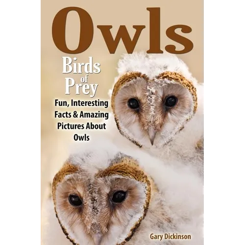 Owls: Birds Of Prey - Paperback