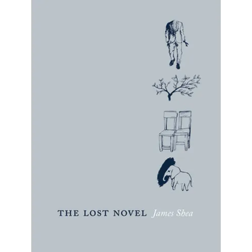 The Lost Novel - Paperback