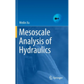 Mesoscale Analysis of Hydraulics - Hardcover