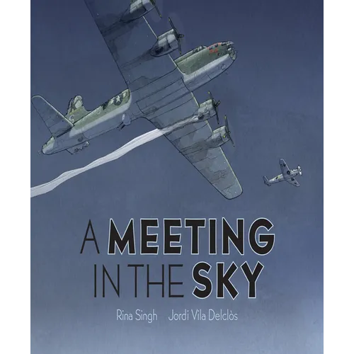 A Meeting in the Sky - Hardcover