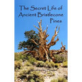 The Secret Life of Ancient Bristlecone Pines: Book One of the Secret Life Series
