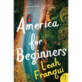America for Beginners - Paperback
