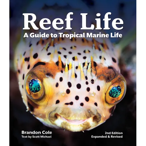 Reef Life: A Guide to Tropical Marine Life - Paperback