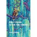 first poems after the stroke - Paperback