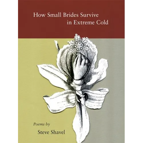 How Small Brides Survive in Extreme Cold - Paperback