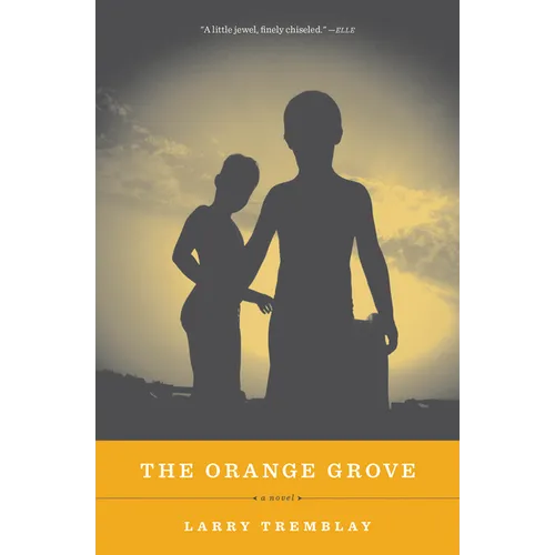 The Orange Grove - Paperback