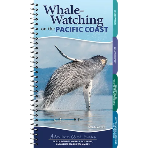 Whale-Watching on the Pacific Coast: Easily Identify Whales, Dolphins, and Other Marine Mammals - Spiral