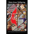 Water from Wellspring - Paperback