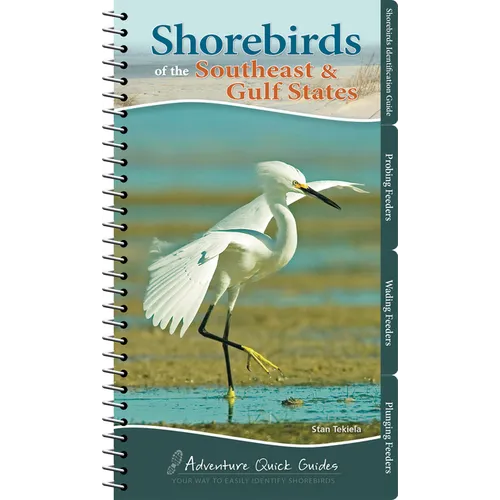 Shorebirds of the Southeast & Gulf States: Your Way to Easily Identify Shorebirds
