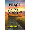 Peace In The Valley: Devotions For The Hospice Patient - Paperback