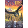 As the Falcon Flies - Paperback