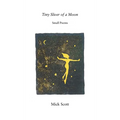 Tiny Sliver of a Moon - Paperback