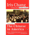 The Chinese in America: A Narrative History - Paperback