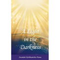 A Light in the Darkness - Paperback