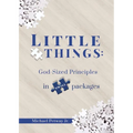 Little Things: God-sized principles in small packages - Paperback