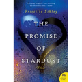 The Promise of Stardust - Paperback