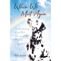 When We Meet Again: An Everlasting Bond That Transcends the Physical - Paperback