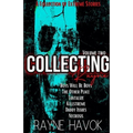 Collecting Rayne: Volume Two - Paperback