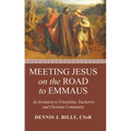 Meeting Jesus on the Road to Emmaus - Hardcover