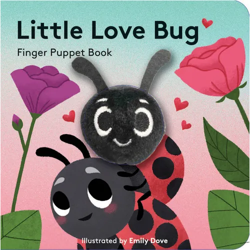Little Love Bug - Board Book