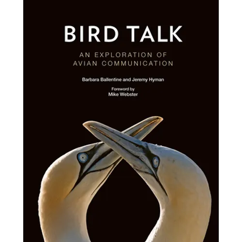 Bird Talk: An Exploration of Avian Communication - Hardcover
