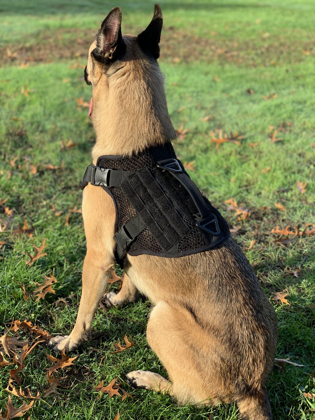 Artemis Dog Harness - No Pull No Tug No Choke Adjustable Breathable K-9