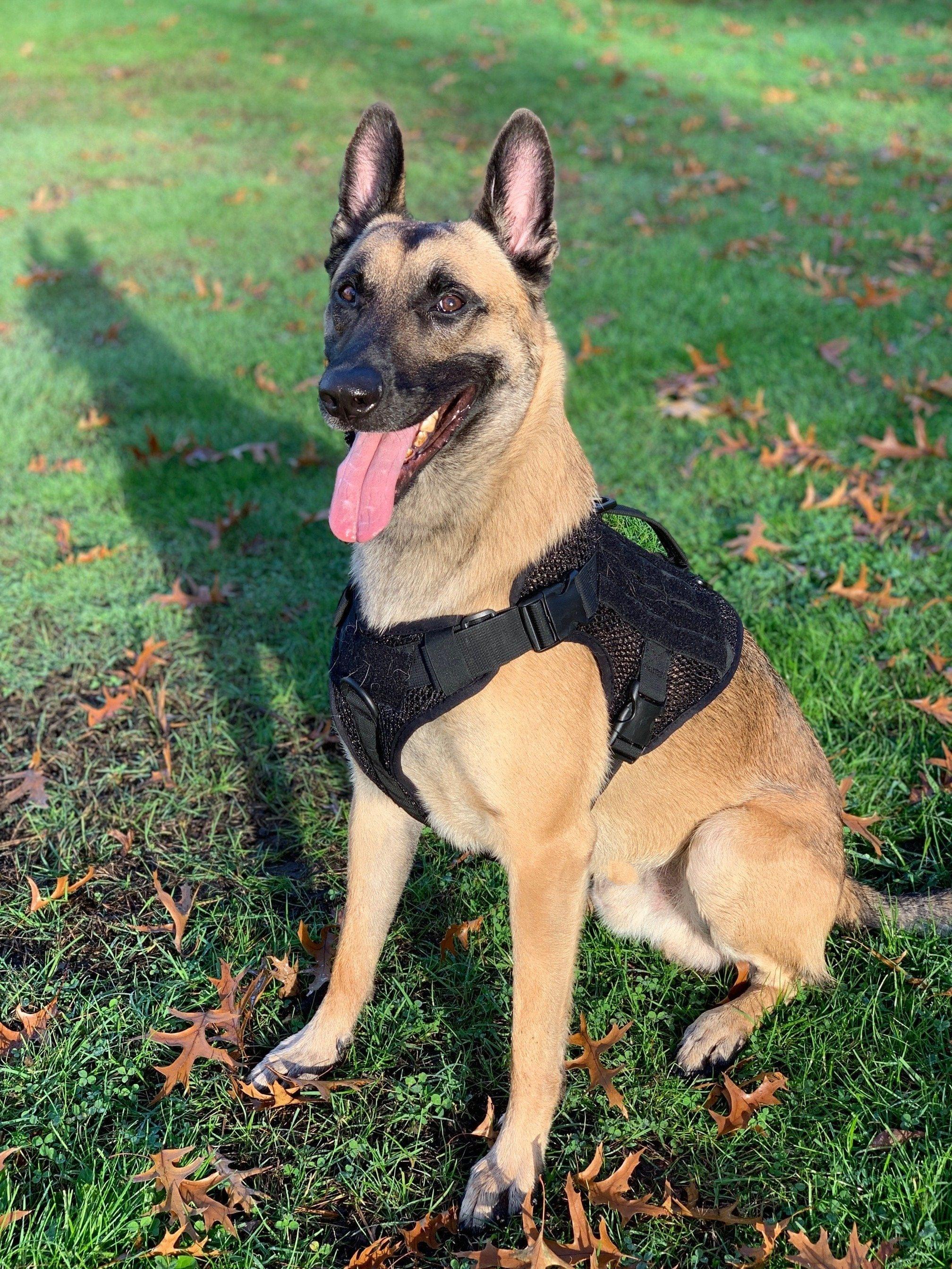 Artemis Dog Harness - No Pull No Tug No Choke Adjustable Breathable K-9