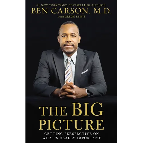 The Big Picture: Getting Perspective on What's Really Important - Paperback