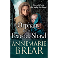 The Orphan in the Peacock Shawl - Paperback