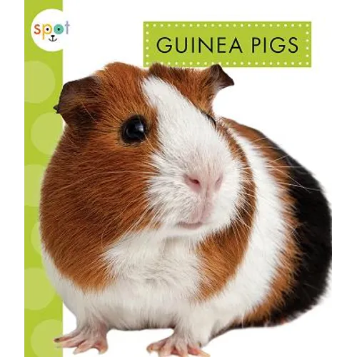 Guinea Pigs - Paperback