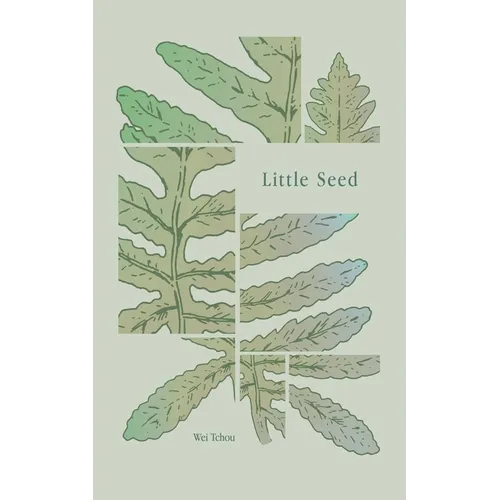 Little Seed - Paperback