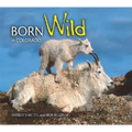 Born Wild in Colorado - Paperback