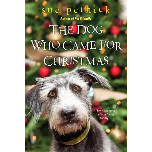 The Dog Who Came for Christmas - Paperback