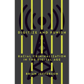 Digitize and Punish: Racial Criminalization in the Digital Age - Paperback