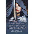 A Bridge Between the Spiritual and Natural Realms - Paperback